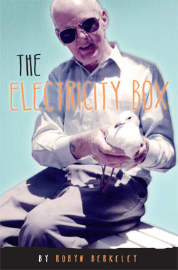 Box by Robyn Berkeley